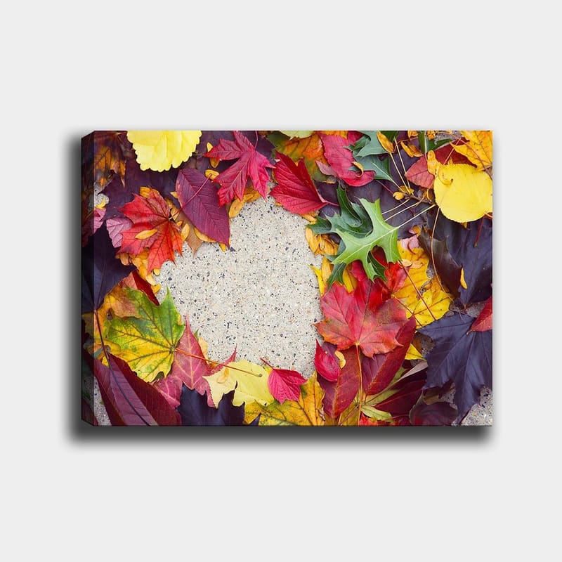 Lerretsbilde 70x100 cm - Fargerik samling av høstblader i forskjellige nyanser rundt en grå overflate - Rød / Gul / Grønn - Innredning - Bilder & kunst - Lerretsbilder
