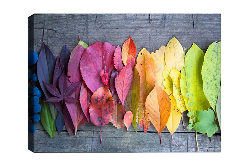 Lerretsbilde 70x100 cm - Fargerik samling av høstblader i forskjellige nyanser som viser naturens skjønnhet, Rød / Gul / Grønn