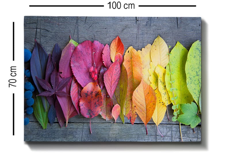 Lerretsbilde 70x100 cm - Fargerik samling av høstblader i forskjellige nyanser som viser naturens skjønnhet - Rød / Gul / Grønn - Innredning - Bilder & kunst - Lerretsbilder