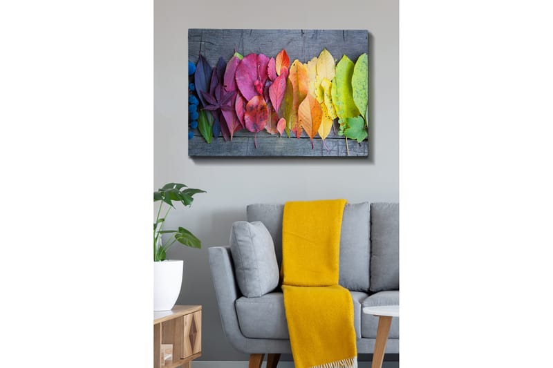 Lerretsbilde 70x100 cm - Fargerik samling av høstblader i forskjellige nyanser som viser naturens skjønnhet - Rød / Gul / Grønn - Innredning - Bilder & kunst - Lerretsbilder