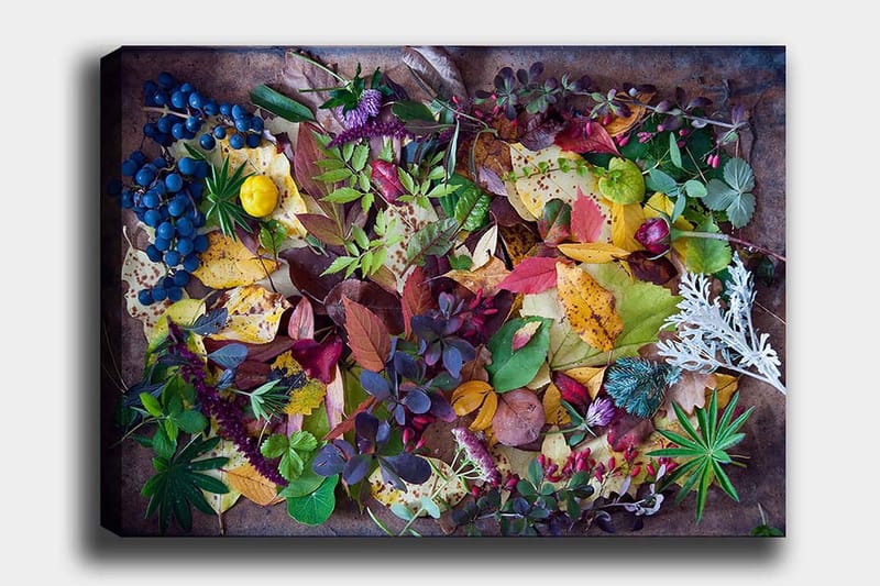 Lerretsbilde 70x100 cm - Fargerik samling av høstblader og bær, Grønn / Rød / Gul
