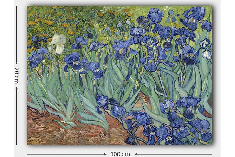 Lerretsbilde 70x100 cm - Fargerik samling av irisblomster i forskjellige blånyanser - Blå / Grønn / Hvit - Innredning - Bilder & kunst - Lerretsbilder