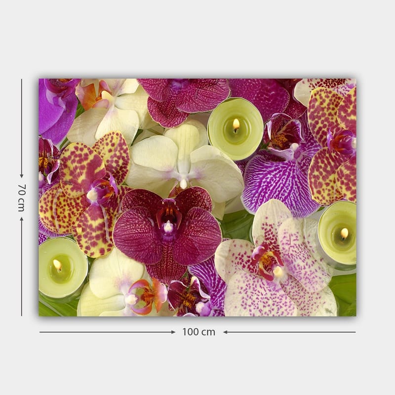 Lerretsbilde 70x100 cm - Fargerik samling av orkideer i forskjellige nyanser og former - Lilla / Hvit / Gul - Innredning - Bilder & kunst - Lerretsbilder