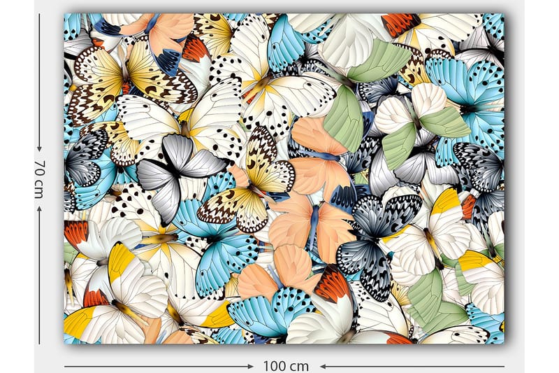 Lerretsbilde 70x100 cm - Fargerik samling av sommerfugler i forskjellige mønstre og farger - Blå / Hvit / Oransje - Innredning - Bilder & kunst - Lerretsbilder
