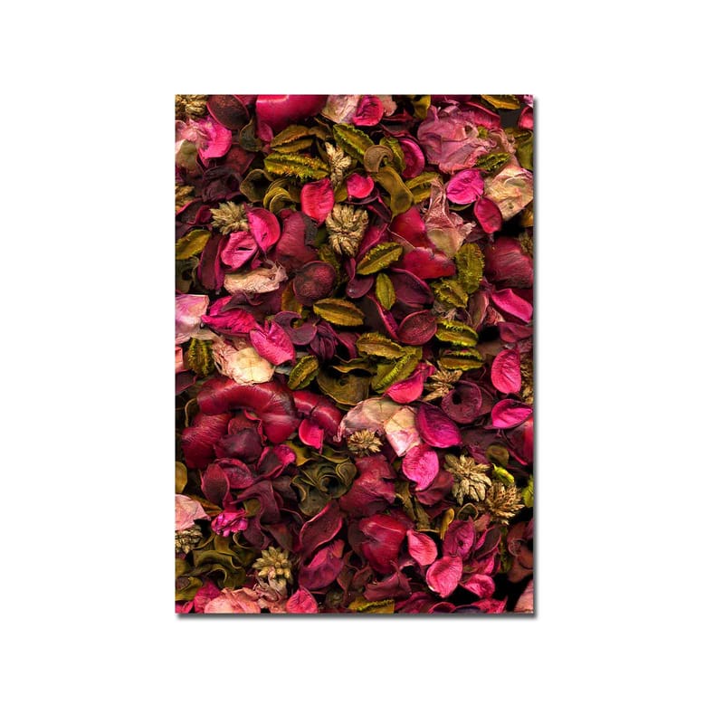 Lerretsbilde 70x100 cm - Fargerik samling av tørkede blomster og blader - Rosa / Grønn / Brun - Innredning - Bilder & kunst - Lerretsbilder