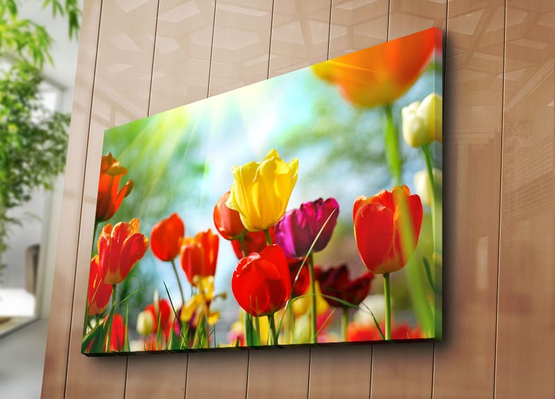 Lerretsbilde 70x100 cm - Fargerik samling av tulipaner i forskjellige nyanser som blomstrer i lyset - Rød / Gul / Lilla - Innredning - Bilder & kunst - Lerretsbilder
