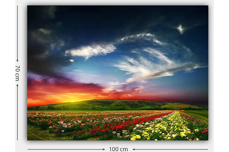 Lerretsbilde 70x100 cm - Fargerik solnedgang over et blomsterfelt med varierende blomster i forgrunnen - Rød / Gul / Grønn - Innredning - Bilder & kunst - Lerretsbilder