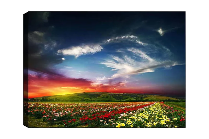 Lerretsbilde 70x100 cm - Fargerik solnedgang over et blomsterfelt med varierende blomster i forgrunnen - Rød / Gul / Grønn - Innredning - Bilder & kunst - Lerretsbilder