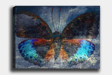 Lerretsbilde 70x100 cm - Fargerik sommerfugl med detaljerte vinger i blått og oransje - Blå / Oransje / Svart - Innredning - Bilder & kunst - Lerretsbilder