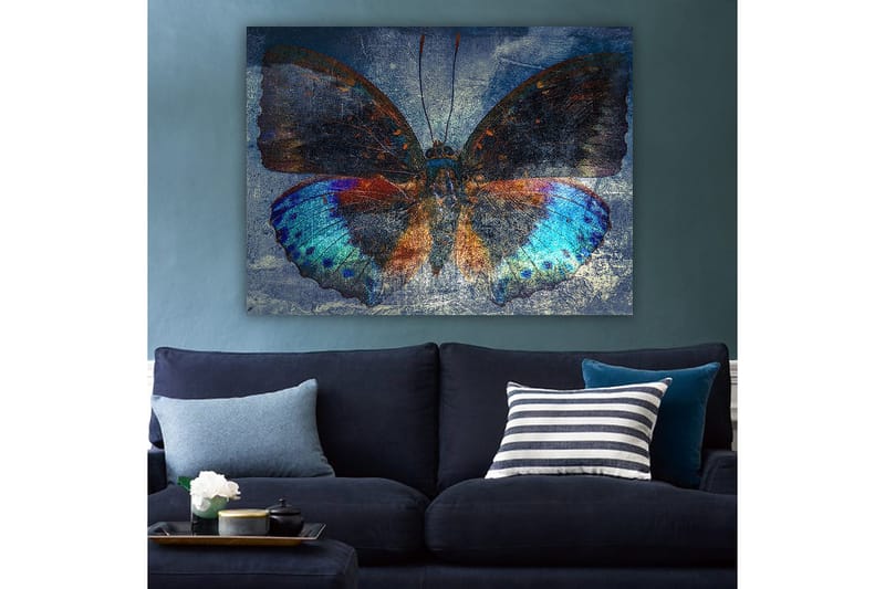 Lerretsbilde 70x100 cm - Fargerik sommerfugl med detaljerte vinger i blått og oransje - Blå / Oransje / Svart - Innredning - Bilder & kunst - Lerretsbilder