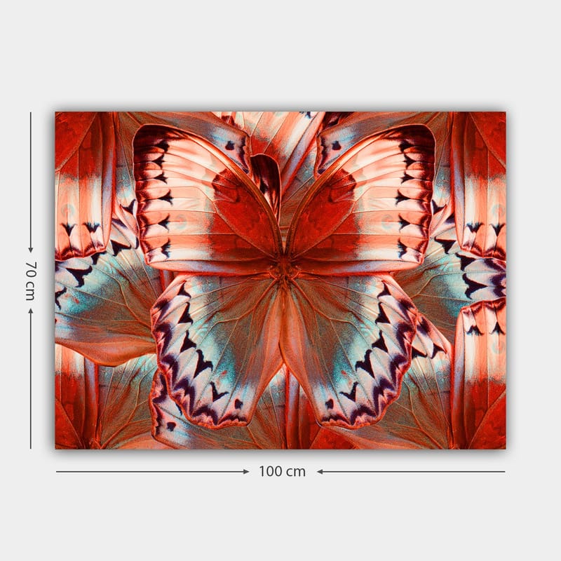 Lerretsbilde 70x100 cm - Fargerik sommerfugl med detaljerte vinger i røde og blå fargetoner - Rød / Blå - Innredning - Bilder & kunst - Lerretsbilder