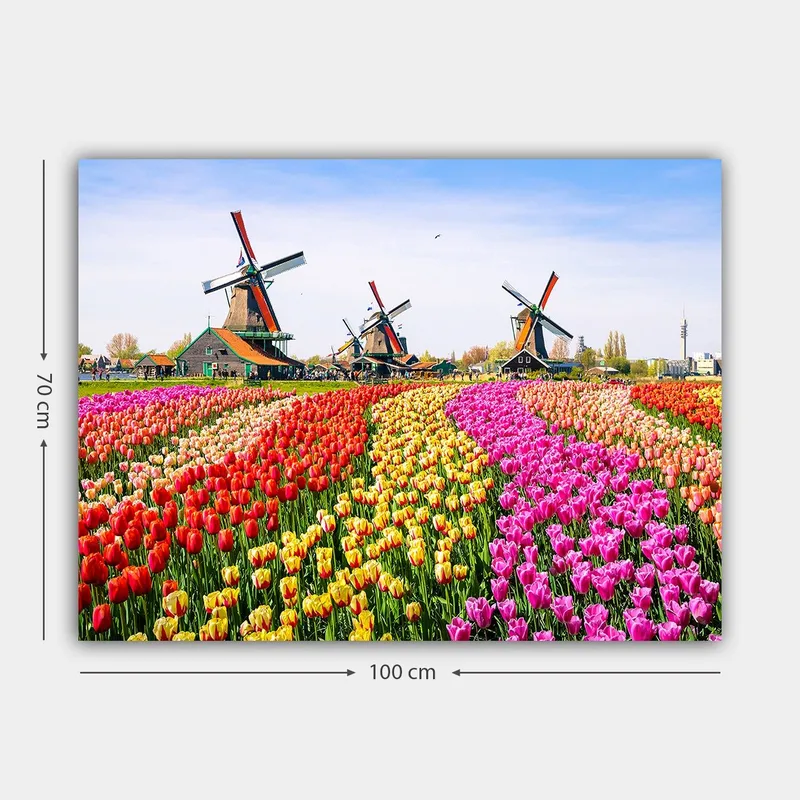 Lerretsbilde 70x100 cm - Fargerik tulipanåker med vindmølle i bakgrunnen - Rød / Gul / Rosa - Innredning - Bilder & kunst - Lerretsbilder