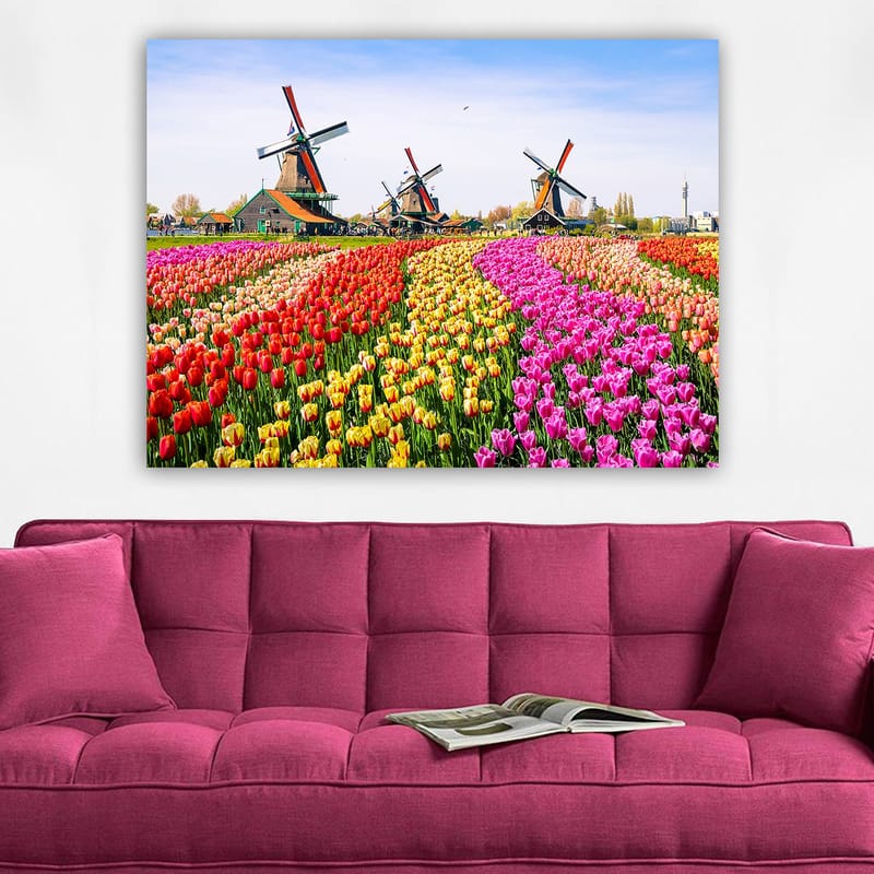 Lerretsbilde 70x100 cm - Fargerik tulipanåker med vindmølle i bakgrunnen - Rød / Gul / Rosa - Innredning - Bilder & kunst - Lerretsbilder