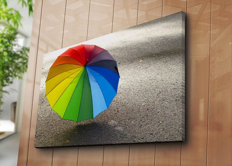 Lerretsbilde 70x100 cm - Fargerik paraply stående på en grå overflate - Rød / Grønn / Blå - Innredning - Bilder & kunst - Lerretsbilder