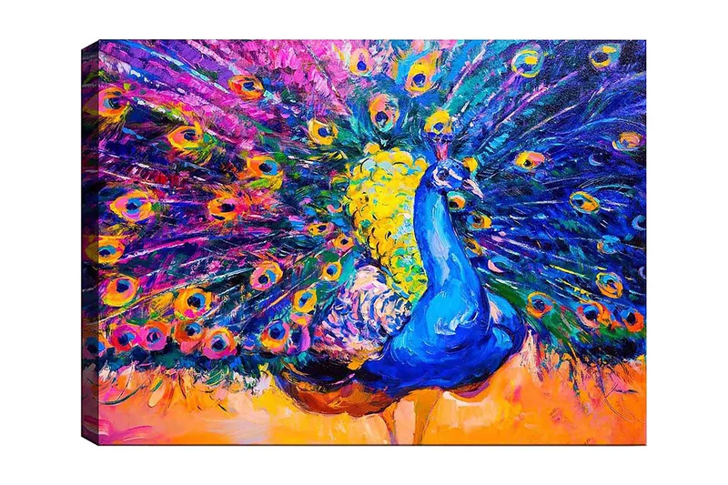 Lerretsbilde 70x100 cm - Fargerik påfugl med spredte fjær som skaper en dramatisk effekt, Blå / Lilla / Gul