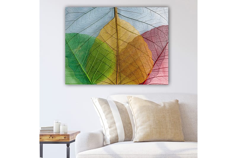 Lerretsbilde 70x100 cm - Fargerike blader i forskjellige nyanser som skaper en harmonisk komposisjon - Grønn / Rød / Gul - Innredning - Bilder & kunst - Lerretsbilder