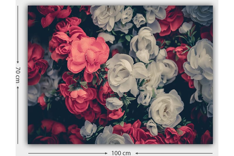 Lerretsbilde 70x100 cm - Fargerike blomster i røde og hvite nyanser - Rød / Hvit - Innredning - Bilder & kunst - Lerretsbilder