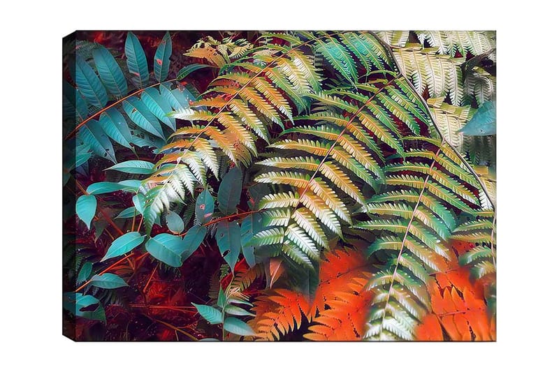 Lerretsbilde 70x100 cm - Fargerike bregneblader i en livlig komposisjon - Turkis / Grønn / Oransje - Innredning - Bilder & kunst - Lerretsbilder