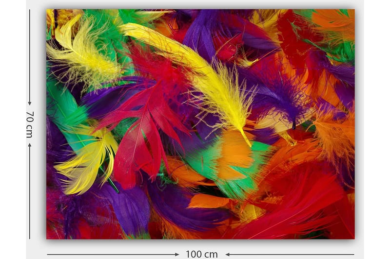 Lerretsbilde 70x100 cm - Fargerike fjær i en livlig komposisjon - Rød / Gul / Grønn - Innredning - Bilder & kunst - Lerretsbilder