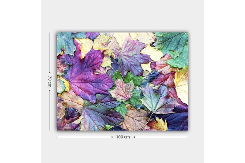 Lerretsbilde 70x100 cm - Fargerike høstblader i en harmonisk komposisjon - Lilla / Grønn / Gul - Innredning - Bilder & kunst - Lerretsbilder