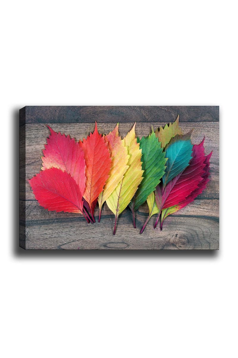 Lerretsbilde 70x100 cm - Fargerike høstblader i forskjellige nyanser som ligger på en treflate, Rød / Grønn / Gul