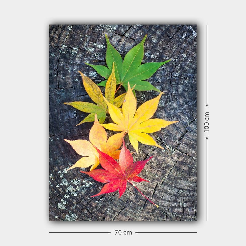 Lerretsbilde 70x100 cm - Fargerike høstblader i forskjellige nyanser på en treflate - Grønn / Gul / Rød - Innredning - Bilder & kunst - Lerretsbilder