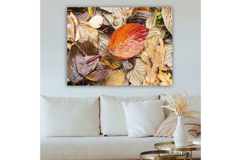 Lerretsbilde 70x100 cm - Fargerike høstblader på en fuktig overflate - Rød / Brun / Gul - Innredning - Bilder & kunst - Lerretsbilder