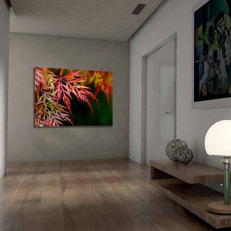 Lerretsbilde 70x100 cm - Fargerike lønneblader i forskjellige nyanser av rødt og rosa - Rød / Rosa / Grønn - Innredning - Bilder & kunst - Lerretsbilder