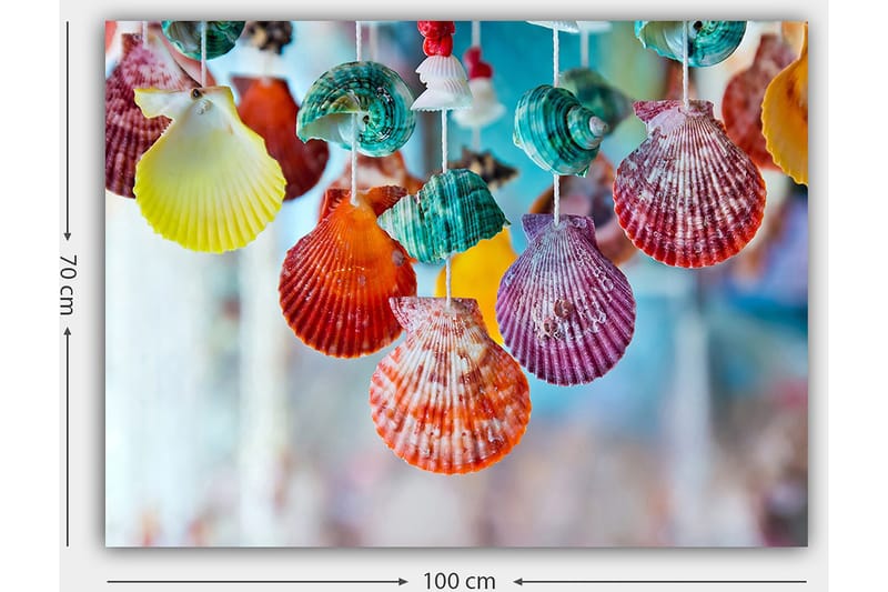 Lerretsbilde 70x100 cm - Fargerike skjell hengende i et dekorativt sett - Rød / Grønn / Oransje - Innredning - Bilder & kunst - Lerretsbilder