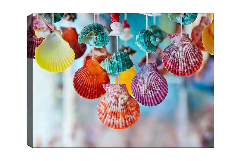 Lerretsbilde 70x100 cm - Fargerike skjell hengende i et dekorativt sett, Rød / Grønn / Oransje