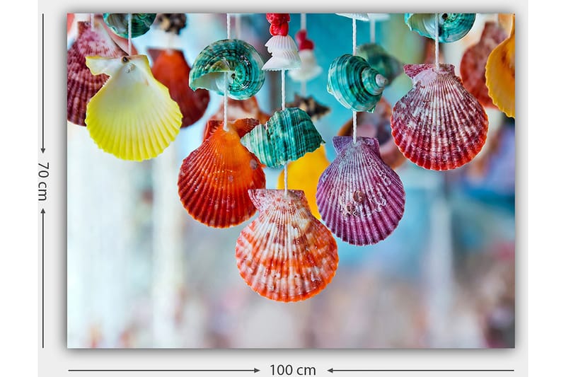 Lerretsbilde 70x100 cm - Fargerike skjell hengende i et dekorativt sett - Rød / Grønn / Oransje - Innredning - Bilder & kunst - Lerretsbilder
