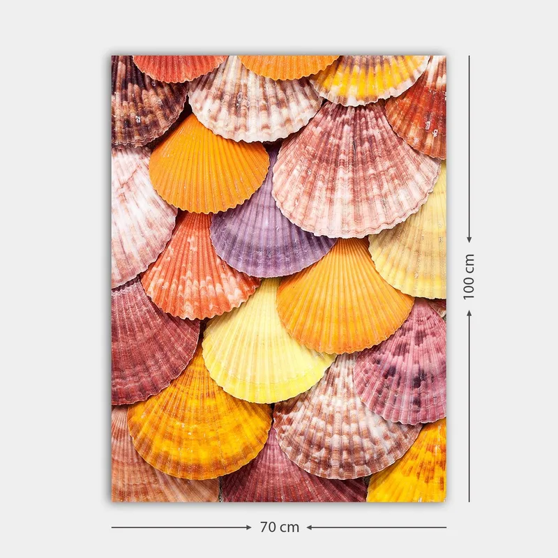 Lerretsbilde 70x100 cm - Fargerike skjell i et vakkert mønster - Oransje / Lilla / Rosa - Innredning - Bilder & kunst - Lerretsbilder