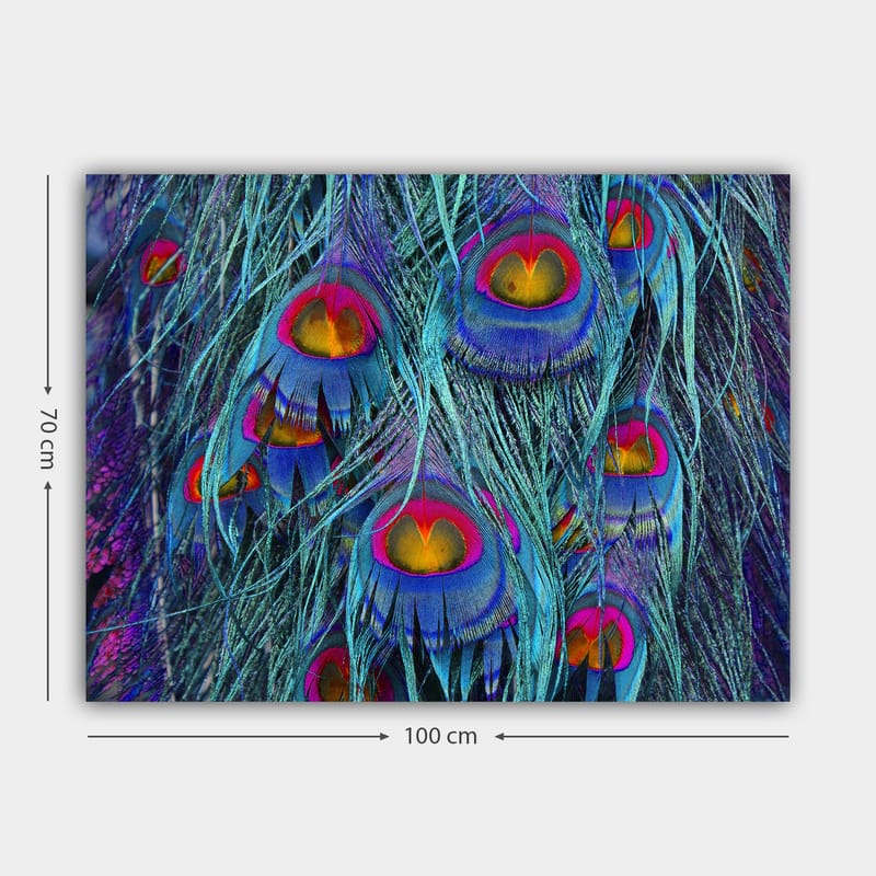 Lerretsbilde 70x100 cm - Fargerike påfuglfjær med et hypnotiserende mønster - Turkis / Lilla / Rød - Innredning - Bilder & kunst - Lerretsbilder