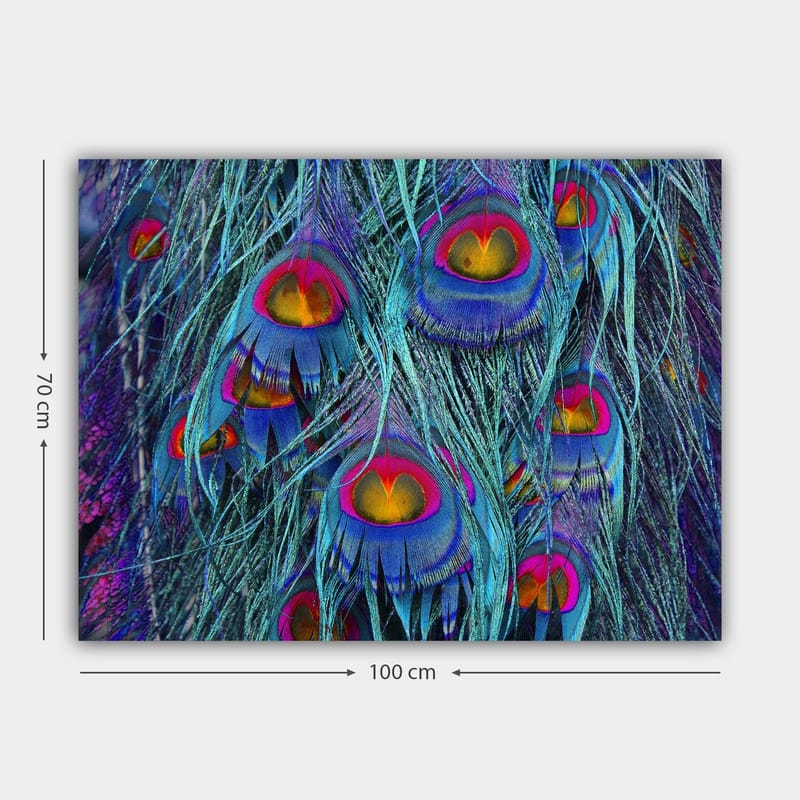 Lerretsbilde 70x100 cm - Fargerike påfuglfjær med et hypnotiserende mønster - Turkis / Lilla / Rød - Innredning - Bilder & kunst - Lerretsbilder