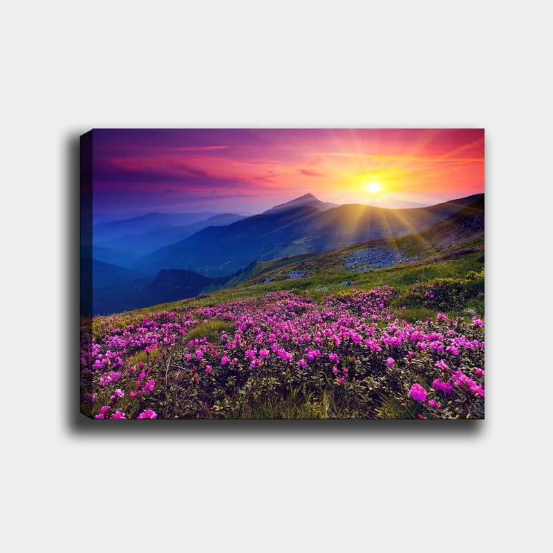 Lerretsbilde 70x100 cm - Fargerikt fjellandskap med blomstrende rosa blomster i forgrunnen og en soloppgang i bakgrunnen - Rosa / Lilla / Gull - Innredning - Bilder & kunst - Lerretsbilder