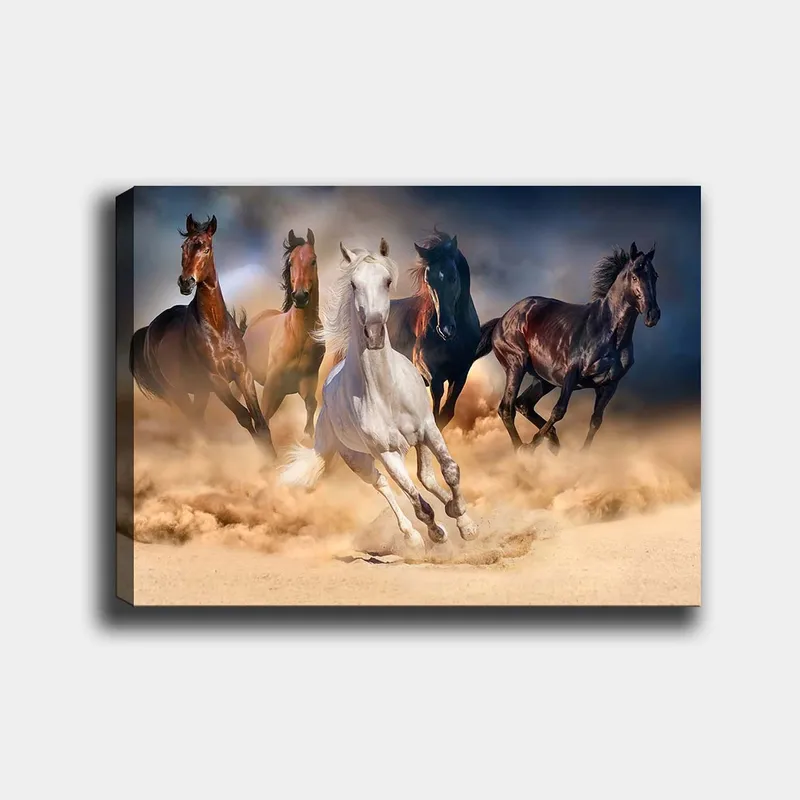 Lerretsbilde 70x100 cm - Fem hester i full galopp gjennom sand og støv - Hvit / Brun / Svart - Innredning - Bilder & kunst - Lerretsbilder