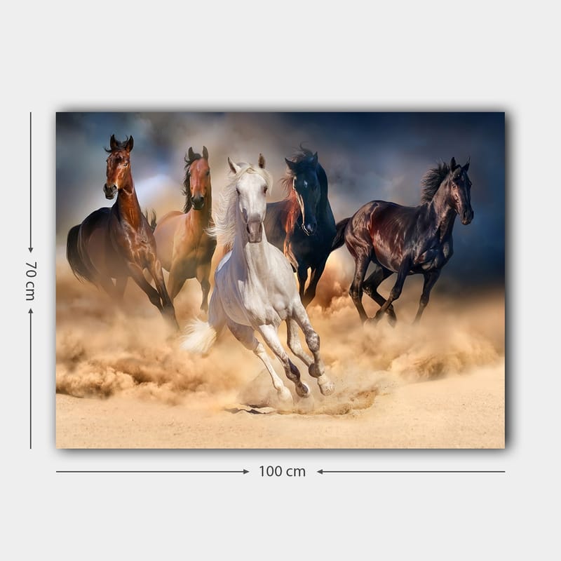Lerretsbilde 70x100 cm - Fem hester i full galopp gjennom sand og støv - Hvit / Brun / Svart - Innredning - Bilder & kunst - Lerretsbilder