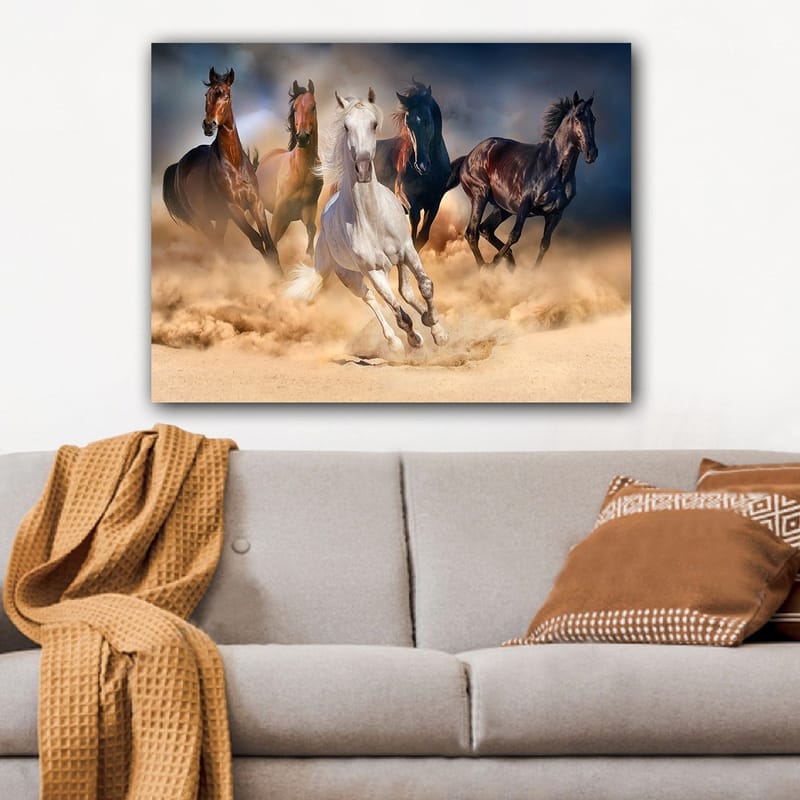 Lerretsbilde 70x100 cm - Fem hester i full galopp gjennom sand og støv - Hvit / Brun / Svart - Innredning - Bilder & kunst - Lerretsbilder