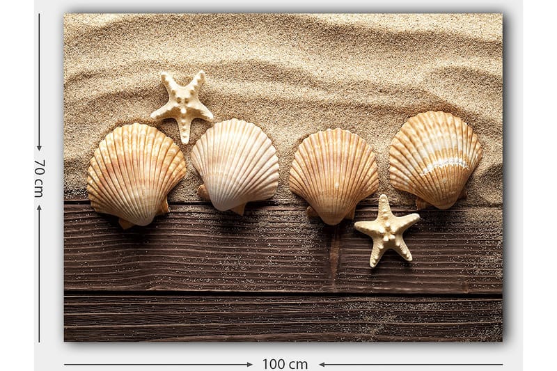Lerretsbilde 70x100 cm - Fem skjell og en sjøstjerne på en sandbakgrunn - Beige / Brun / Hvit - Innredning - Bilder & kunst - Lerretsbilder
