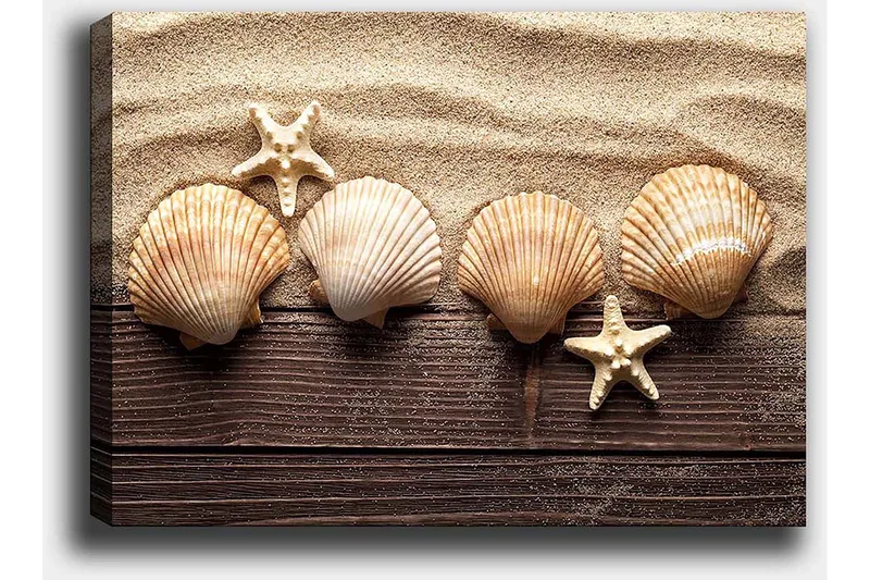 Lerretsbilde 70x100 cm - Fem skjell og en sjøstjerne på en sandbakgrunn - Beige / Brun / Hvit - Innredning - Bilder & kunst - Lerretsbilder