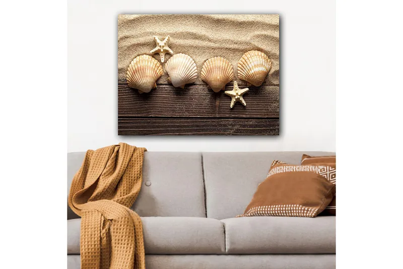 Lerretsbilde 70x100 cm - Fem skjell og en sjøstjerne på en sandbakgrunn, Beige / Brun / Hvit