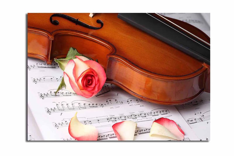 Lerretsbilde 70x100 cm - Fiolin med rose og roseblader på et noterark - Rød / Beige / Brun - Innredning - Bilder & kunst - Lerretsbilder