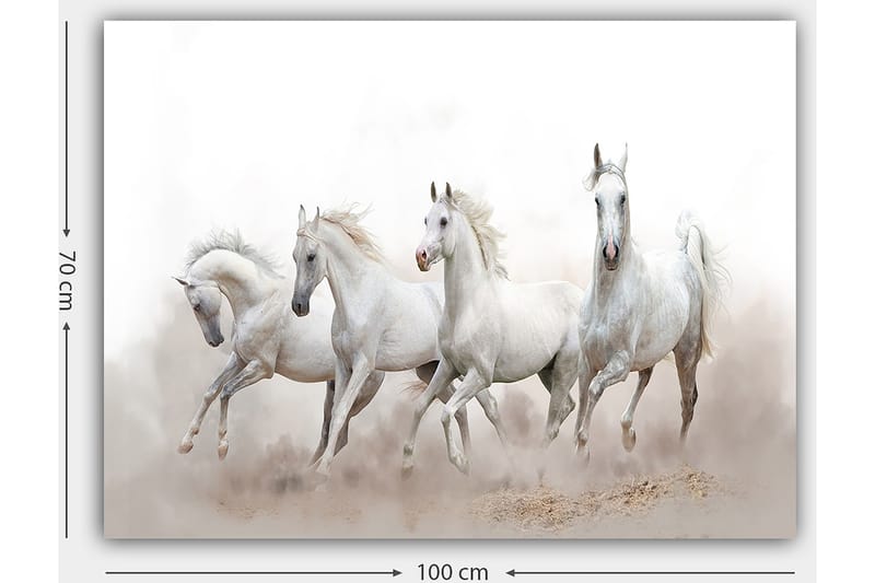 Lerretsbilde 70x100 cm - Fire hvite hester galopperer fremover i tåkete omgivelser - Hvit / Lys grå - Innredning - Bilder & kunst - Lerretsbilder