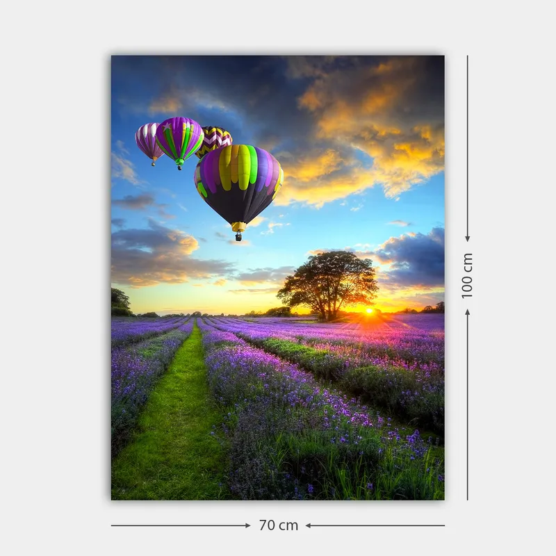 Lerretsbilde 70x100 cm - Flere fargerike varmluftsballonger svever over et lavendelfelt i solnedgangens lys - Lilla / Grønn / Svart - Innredning - Bilder & kunst - Lerretsbilder