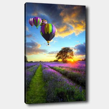 Lerretsbilde 70x100 cm - Flere fargerike varmluftsballonger svever over et lavendelfelt i solnedgangens lys - Lilla / Grønn / Svart - Innredning - Bilder & kunst - Lerretsbilder