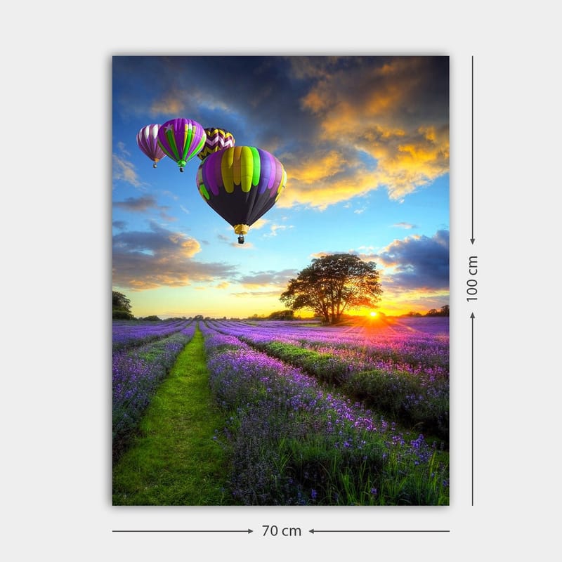 Lerretsbilde 70x100 cm - Flere fargerike varmluftsballonger svever over et lavendelfelt i solnedgangens lys - Lilla / Grønn / Svart - Innredning - Bilder & kunst - Lerretsbilder