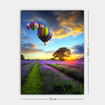 Lerretsbilde 70x100 cm - Flere fargerike varmluftsballonger svever over et lavendelfelt i solnedgangens lys - Lilla / Grønn / Svart - Innredning - Bilder & kunst - Lerretsbilder