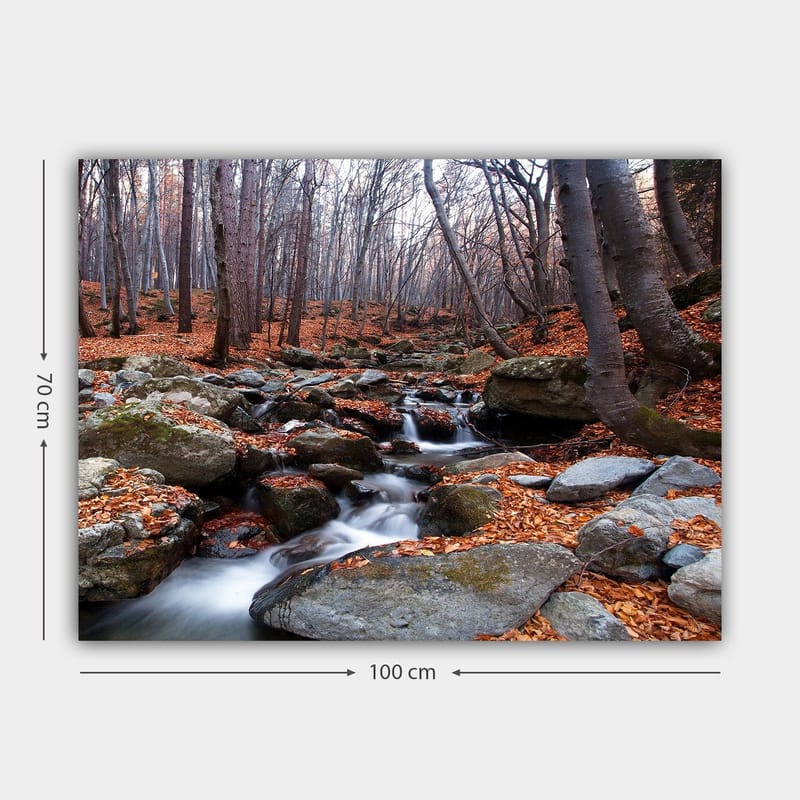Lerretsbilde 70x100 cm - Fredelig skogscene med en klukkende bekk omgitt av høstfargede blader og steiner - Grå / Oransje / Brun - Innredning - Bilder & kunst - Lerretsbilder