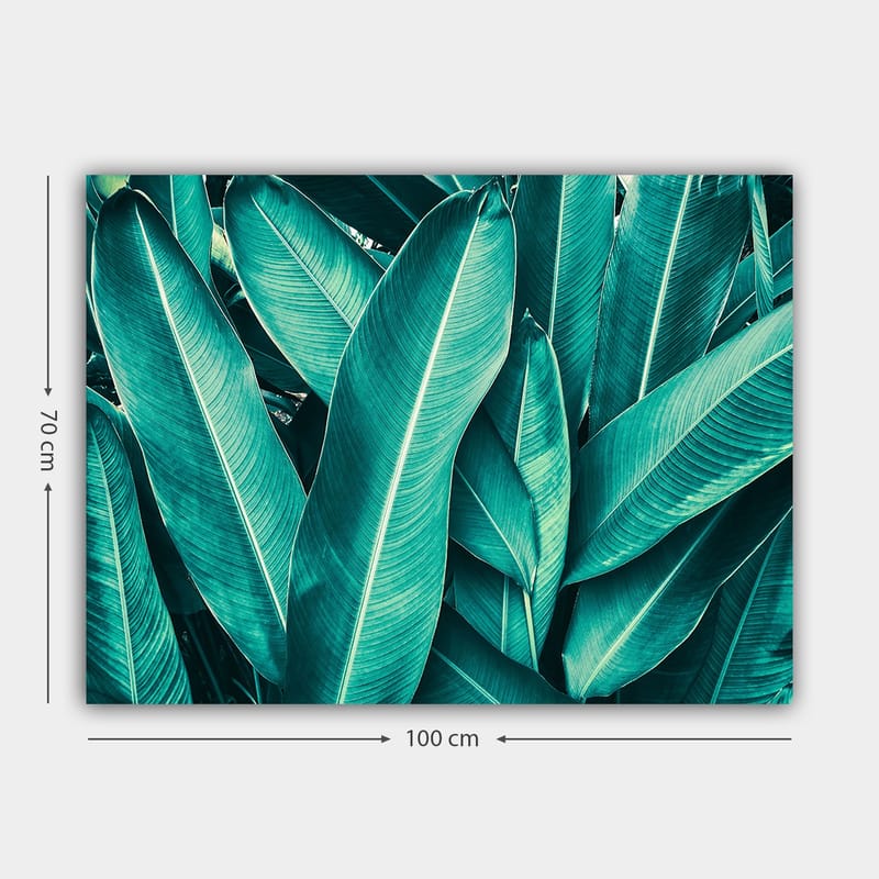Lerretsbilde 70x100 cm - Frodig løvverk i en harmonisk komposisjon - Turkis / Mørkegrønn - Innredning - Bilder & kunst - Lerretsbilder