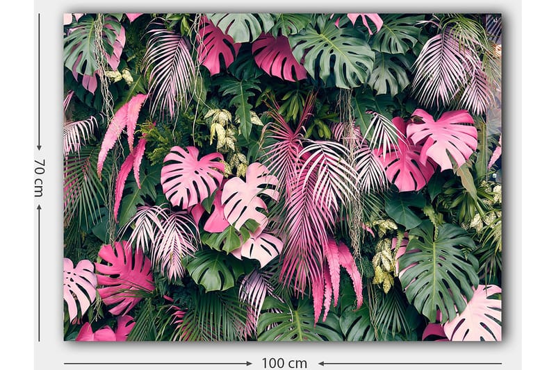 Lerretsbilde 70x100 cm - Frodig samling av tropiske planter med store, fargerike blader - Grønn / Rosa - Innredning - Bilder & kunst - Lerretsbilder